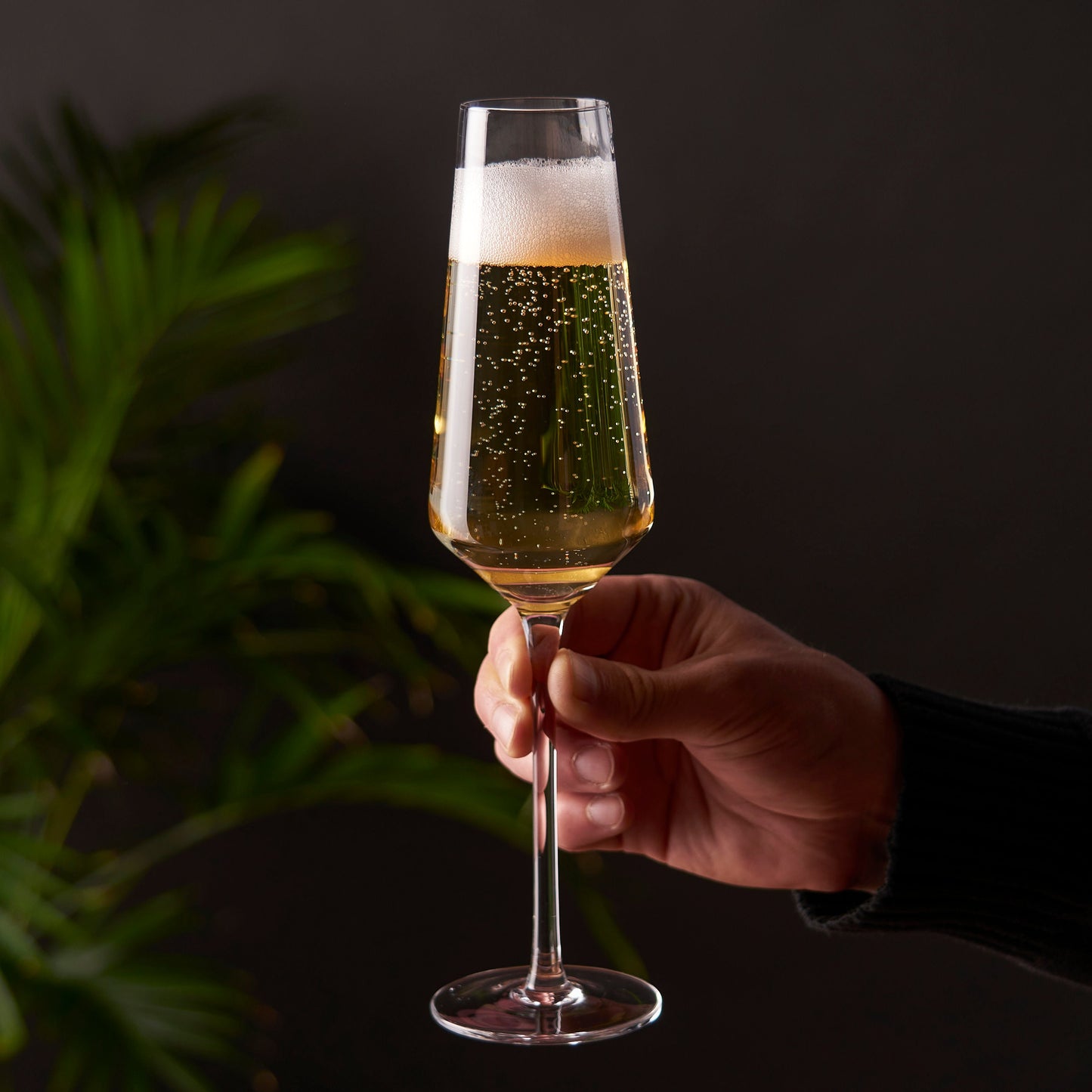 Raye Crystal Angled Champagne Flutes, Set of 2